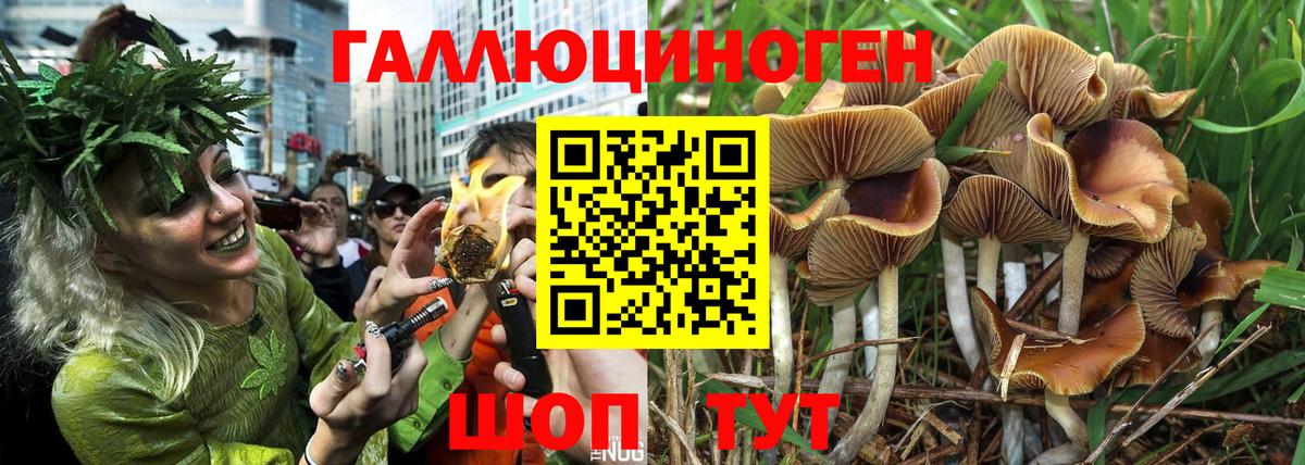 Галлюциногенные грибы Cubensis  Галлюциногенные грибы GOLDEN TEACHER  Воскресенск  Вход с VPN 